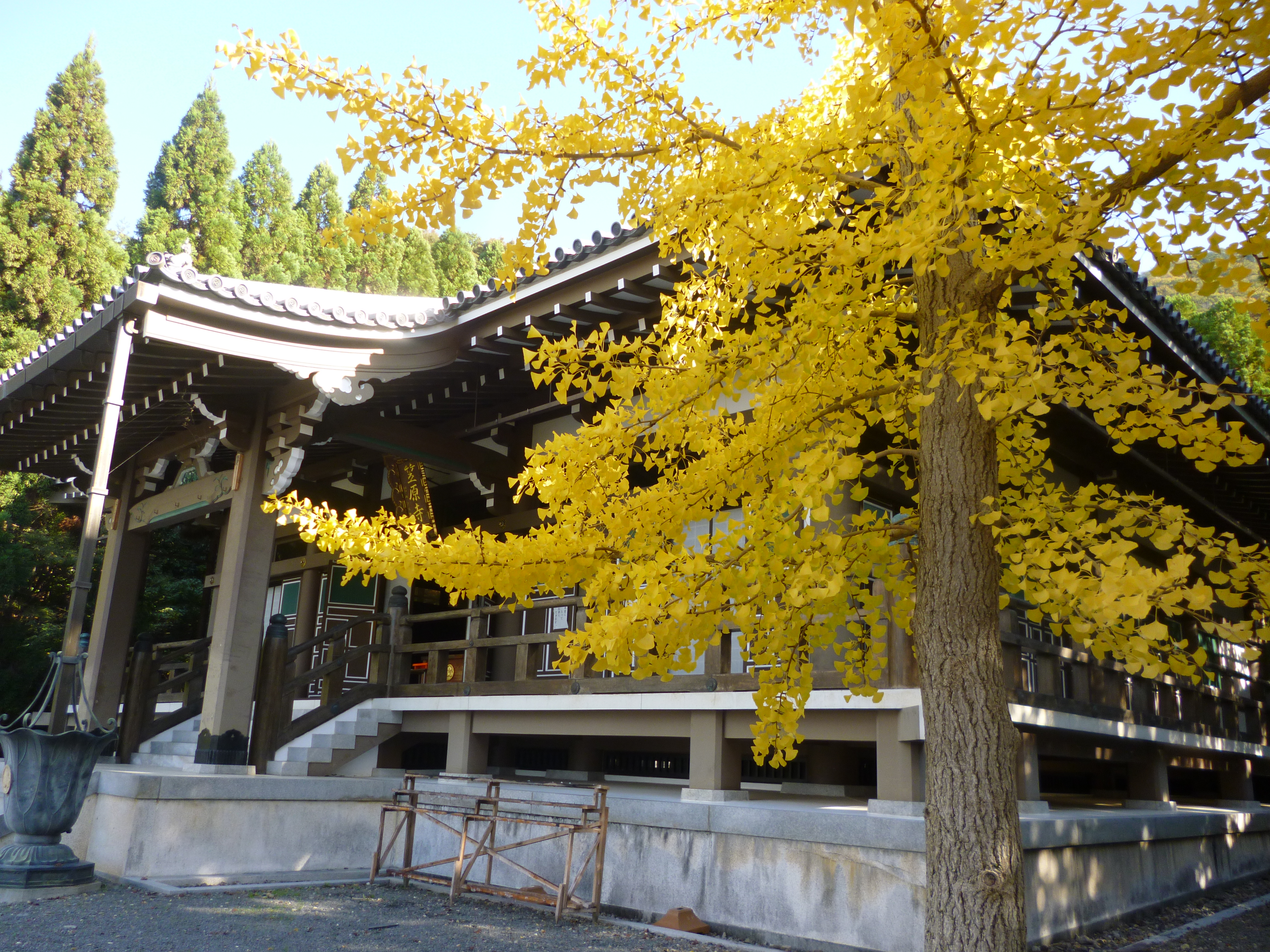 笠原寺